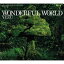 ̵ 椺 / WONDERFUL WORLD CD