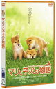 マリと子犬の物語 スタンダード・エディション 【DVD】