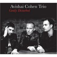 【輸入盤】 Avishai Cohen アビシャイコーエン / Gently Disturbed 【CD】