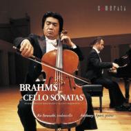 Brahms ֥顼ॹ / ʥޫԥ CD