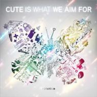  Cute Is What We Aim For / Rotation 