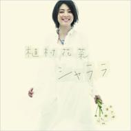 植村花菜 ウエムラカナ / シャララ 【CD Maxi】