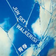 JUN SKY WALKER(S) ジュンスカイウォーカーズ / 青春 【CD Maxi】