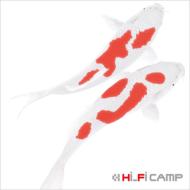 Hi-Fi CAMP ハイファイキャンプ / 恋 【CD Maxi】