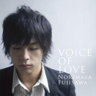 藤澤ノリマサ / VOICE OF LOVE ～愛の力～ 【CD】