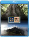 出荷目安の詳細はこちら内容詳細「屋久島I」屋久島を象徴する、縄文杉。その樹齢は、2000年〜7200年までさまざまな説がある。現在、保護のために近づくことができない。今回、関係機関の協力を得て、クレーン撮影を行い、普段見ることのできないアングルから、縄文杉の姿に迫った。そこには、様々な植物が着生し、縄文杉を大地として生きていた。猛々しい「森の王者」の姿があった。 （2007年9月2日　第558回放送より）「屋久島II」屋久島は今から1400万年前に、花崗岩が競りあがってできた。海底には、山岳地帯と同じような「山頂」の風景が広がる。この花崗岩が海面をつきぬけ、2000m近い山々を造った。今でも1000年に1mのスピードで上昇している。 （2007年9月9日　第559回放送より）