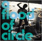 a flood of circle フラッドオブサークル / Before the flood three 【CD】
