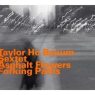 【輸入盤】 Taylor Ho Bynum / Asphalt Flowers Forking Paths 【CD】