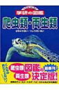 ハラガケガメのまとめ 飼い方 繁殖や餌やり と販売価格等9個のポイント 爬虫類大図鑑 ハラガケガメのまとめ 飼い方 繁殖や餌やり と販売価格等9個のポイント 爬虫類大図鑑
