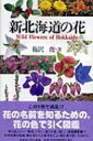 【送料無料】 新北海道の花 / 梅沢俊 【本】