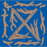 X JAPAN / BLUE BLOOD 【CD】