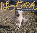 出荷目安の詳細はこちら商品説明ペットショップのかわいい子犬たち。でも、そのお母さん犬は、どこでどうしているのでしょう。狭い小屋の中で満足に食事も与えられず、子どもを生まされていた繁殖犬たちの物語。〈井上〉東京都生まれ。1976年「ハムスター物語」で毎日新聞児童小説新人賞を受賞。以後執筆活動に入る。〈小関〉1964年京都市生まれ。スタジオカメラマン等を経て、95年よりフリーに。