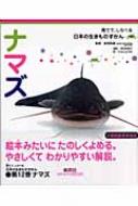 ナマズ 育てて、しらべる日本の生きものずかん / 前畑政善 【図鑑】