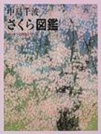 中島千波　さくら図鑑 デッサンと作品シリーズ / 中島千波 【本】
