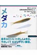 メダカ 育てて、しらべる日本の生きものずかん / 岩松鷹司 【図鑑】