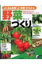 「よくある失敗」と「対策」がわかる野菜づくり 実用BEST BOOKS / 藤田智 【本】