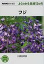フジ NHK趣味の園芸よくわかる栽培12か月 / 川原田邦彦 