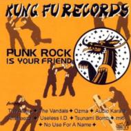 【輸入盤】 Kung Fu Sampler #3 - Punk Rock Is Your Friend 【CD】