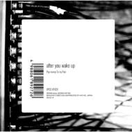 Pay Money To My Pain (P.T.P) ペイマネートゥーマイペイン / after you wake up 【CD】
