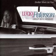 【輸入盤】 Lucky Peterson / Brother Where Are You? 【CD】