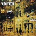 【輸入盤】 Screaming Trees / Sweet Oblivion 【CD】
