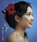 しおり / 僕らの海 / 二人の約束 【CD Maxi】