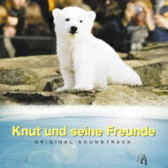 出荷目安の詳細はこちら内容詳細映画『クヌート』のサントラ。母親の育児放棄のため、ベルリン動物園の飼育員の手で育てられた北極熊“クヌート”の感動物語で、メイン・テーマは話題のヴァイオリニスト、宮本笑里による演奏だ。(CDジャーナル　データベースより)曲目リストDisc11.クヌート: : いのちの星/2.クヌート: : クヌートは友だち/3.クヌート: : Wild Buddy/4.クヌート: : ポーラー・ベアの世界/5.クヌート: : Join/6.クヌート: : ベラルーシの森/7.クヌート: : Hey Kids!/8.クヌート: : Water Colors/9.クヌート: : Dreamland/10.クヌート: : 心の故郷/11.クヌート: : 大自然の鼓動/12.クヌート: : 遥かなる地/13.クヌート: : 生命の讃歌/14.クヌート: : たからもの ~precious Moment