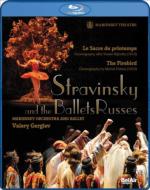 バレエ＆ダンス / 『春の祭典』、『火の鳥』　マリインスキー・バレエ、イオシフィディ、コンダウーロワ、他　ゲルギエフ指揮（2008） 【BLU-RAY DISC】