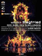 Wagner ワーグナー / 『ジークフリート』全曲　パドリッサ演出、メータ＆バレンシア州立管、ライアン、ウーシタロ、他（2007　ステレオ）（2DVD） 【DVD】