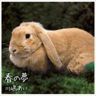 川嶋あい カワシマアイ / 春の夢 【CD Maxi】