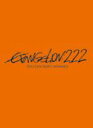 ヱヴァンゲリヲン新劇場版：破　EVANGELION: 2.22 YOU CAN (NOT) ADVANCE. 【DVD】