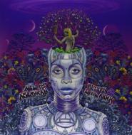 Erykah Badu エリカバドゥ / New Amerykah Part Two: Return Of The Ankh (2枚組アナログレコード) 【LP】