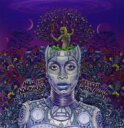 Erykah Badu エリカバドゥ / New Amerykah Part Two: Return Of The Ankh (2枚組アナログレコード) 【LP】