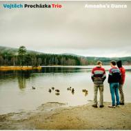 【輸入盤】 Vojtech Prochazka / Amoeba 039 s Dance 【CD】