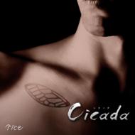 Rice ライス / Cicada 【CD Maxi】