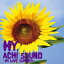 HY 磻 / ACHI SOUNDHY LOVE SUMMER CD