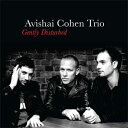 Avishai Cohen ArVCR[G / Gently Disturbed (AiOR[h) yLPz