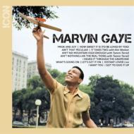 【輸入盤】 Marvin Gaye マービンゲイ / Icon 【CD】