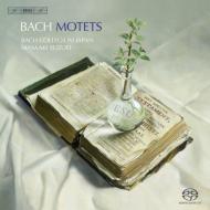 Bach, Johann Sebastian obn   Comp.motets: Suzuki ؉떾   Bach Collegium Japan  SACD 