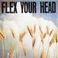 【輸入盤】 Flex Your Head 【CD】