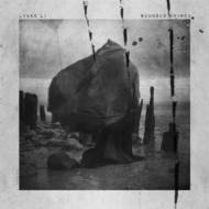 【輸入盤】 LYKKE LI リッキリー / Wounded Rhymes 【CD】