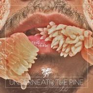 Toro Y Moi トロイモア / Underneath The Pine (アナログレコード / 2ndアルバム) 