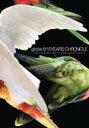 globe グローブ / 15YEARS CHRONICLE ～ON-AIR OFF-AIR～ ＋ UNRELEASED TRACKS 【DVD】