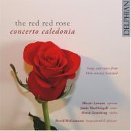 【輸入盤】 The Red Red Rose-songs &amp; Tunes From 18th Century Scotland: Concerto Caledonia 【CD】