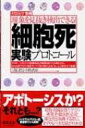 細胞死実験プロトコール 現象を見