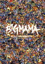 BIGMAMA ビッグママ / ～母と行く、魅惑の映像世界の旅～ 【DVD】