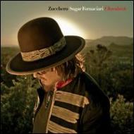 【輸入盤】 Zucchero ズッケロ / Chocabeck 【CD】