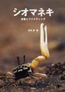 シオマネキ 求愛とファイティング / 村井実(動物生態学) 【本】