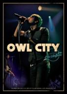 Owl City アウルシティー / Live From Los Angeles 【DVD】