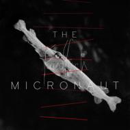 【輸入盤】 Micronaut / Friedfisch 【CD】